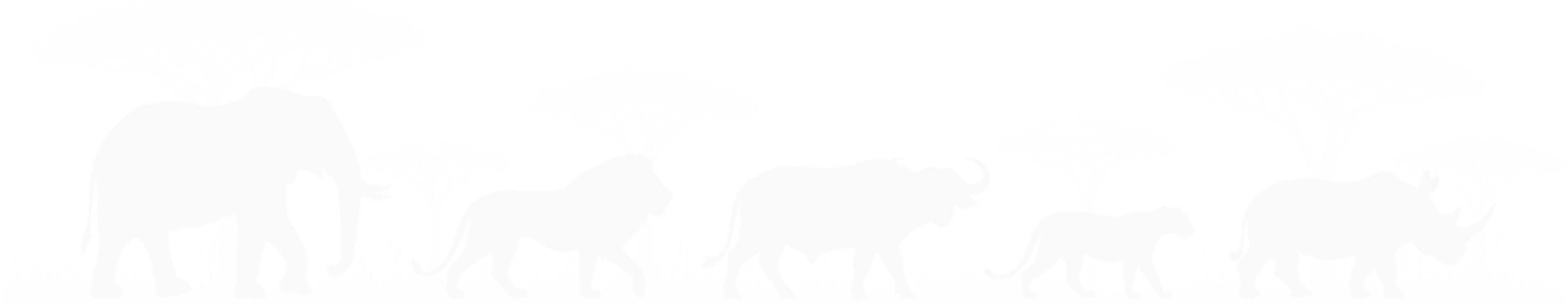 Safari Silhouette